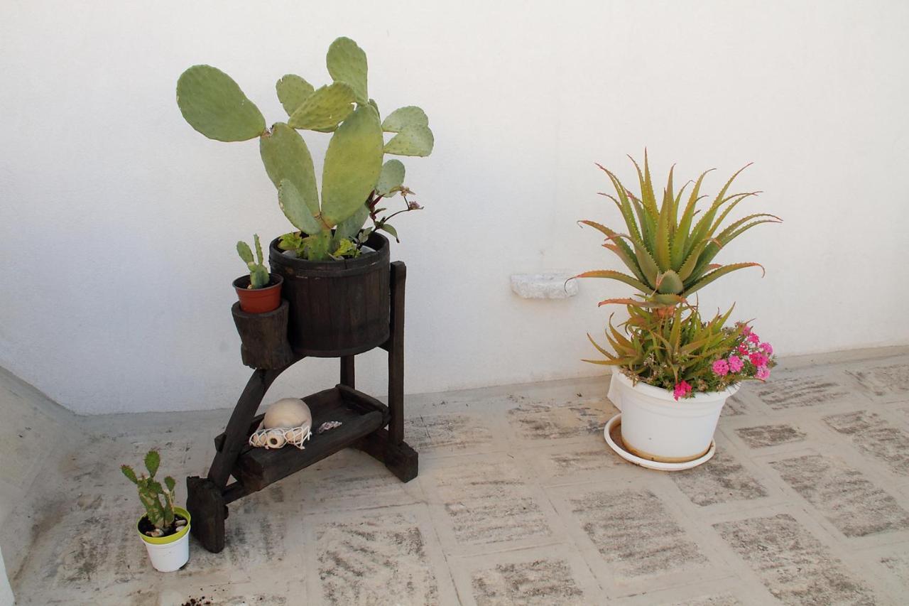 Casa Donnalby Apartment Monopoli Exterior photo